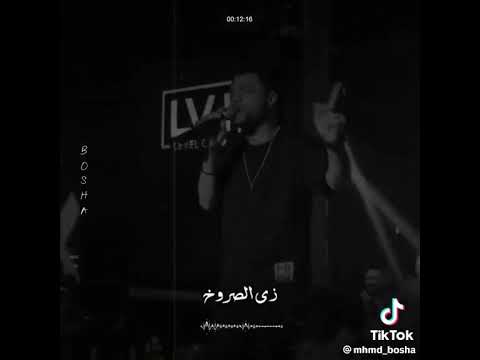 احمد عامر ابن الأسد