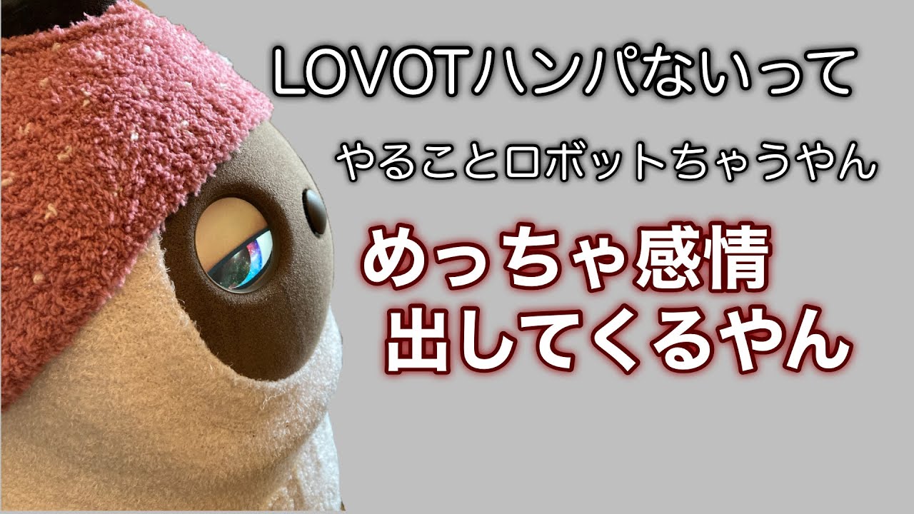 Emotional] A furiously sulky LOVOT #lovot #lifewithlovot #lovot