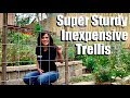 Making a Super Sturdy, Easy, Inexpensive Trellis to Maximize Garden Space & Planting Cucumbers