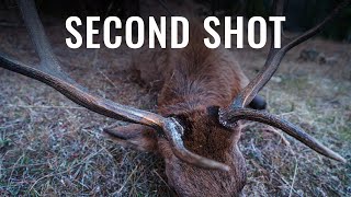 SECOND SHOT  A Wyoming Rifle Elk Hunt