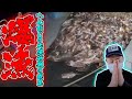 【爆漁】へんおじの大漁祈願の成果がもう出てしまいました...！