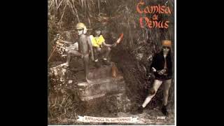 CAMISA DE VÊNUS - LENA - 1984