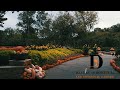 The Dallas Arboretum | Autumn at the Arboretum