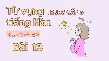 Từ vựng tiếng Hàn trung cấp 3 - Bài 13 | Đọc dịch song ngữ
