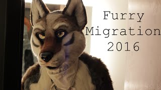 Furry Migration 2016