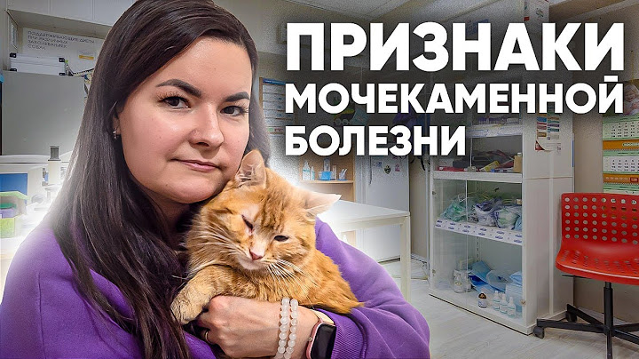 Мочекаменная болезнь у кошек: симптомы и лечение. Как правильно кормить кошку?