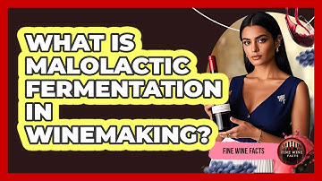 What Is Malolactic Fermentation In Winemaking? - Fine Wine Facts