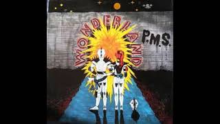 P.S.M. - Wonderland (Rotterdam Gabber Mix)
