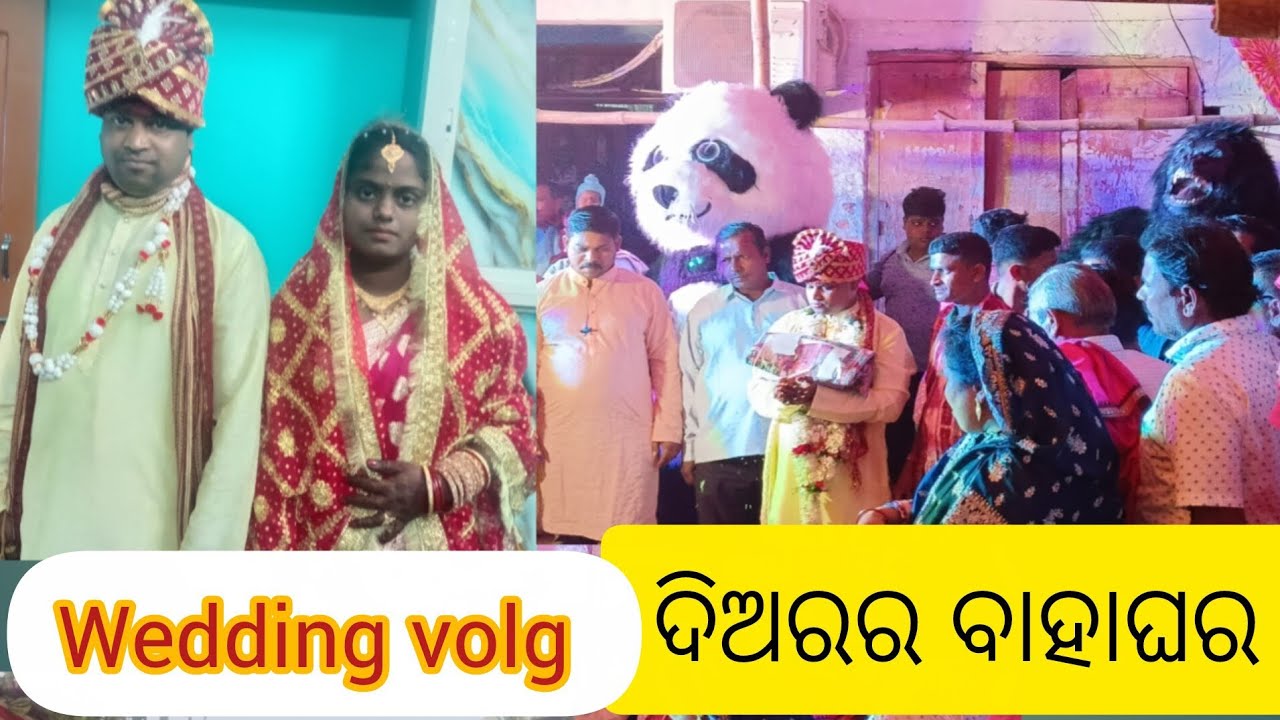 ଦିଅର wedding vlog //omsujata 
