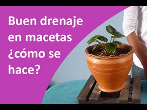 Buen drenaje en macetas ¿cómo se hace?