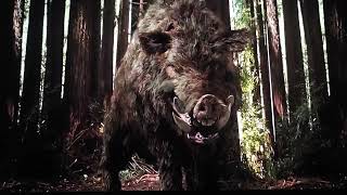 Inostrancevia Meets Chawz