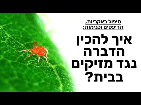 וִידֵאוֹ: זיהוי תריפסים טורפים - שימוש בתריפסים טורפים בגנים