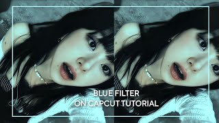 blue filter on capcut tutorial screenshot 4