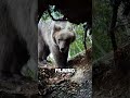 What Happens When a MAN Enters a TERRIFYING Cave