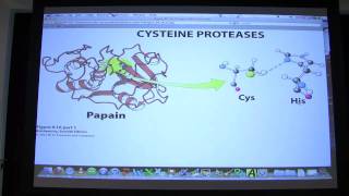#13 Biochemistry Catalytic Mechanisms II Lecture for Kevin Ahern's BB 450/550