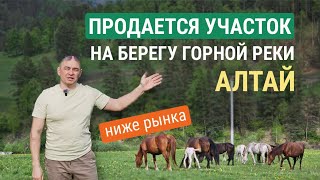 Купить участок на берегу реки в Республике Алтай. Рядом с Чемалом