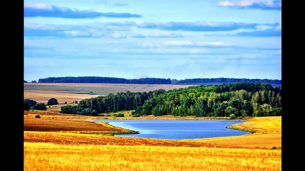 Т д беларусь. Просторы природы. Бескрайние просторы. Пейзажи России. Природа поле река.