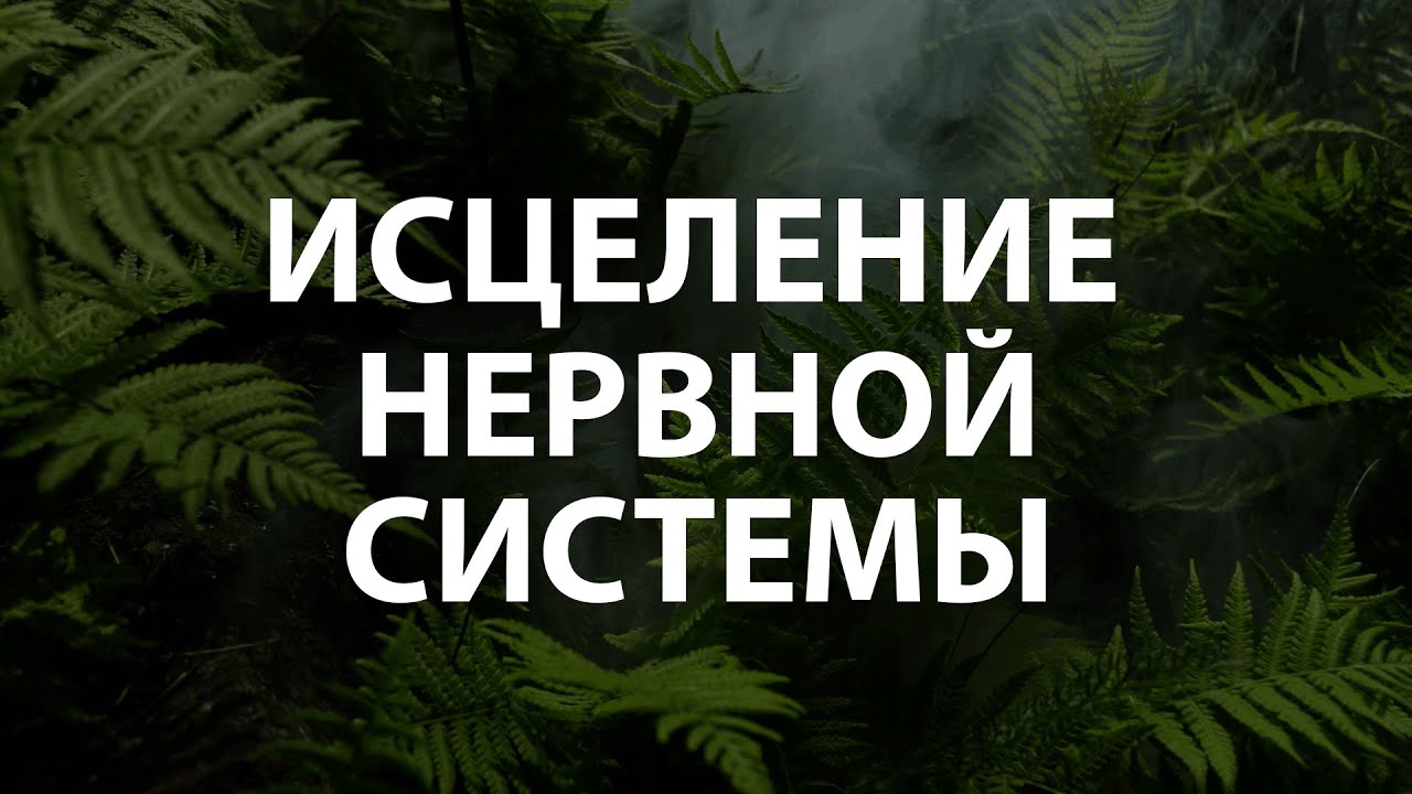 Медитация исцеление нервной системы восстановление и лечение нервов. Ливанда исцеление нервной