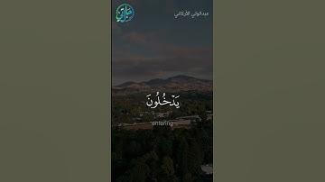 الذكر الحكيم - سورة النصر - عبدالولي الأركاني l حالتي الدعوية