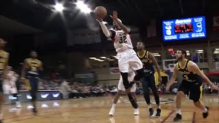 Craig Sword, Tra-Deon Hollins  Highlights from Erie BayHawks vs. Fort Wayne Mad Ants