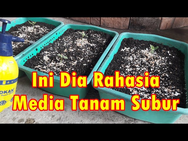 4 Cara Buat Media Tanam Subur Kembali class=