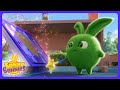 Sunny Bunnies - Mini Coelhinhos Fofos! | Desenhos Infantis | WildBrain Oficina
