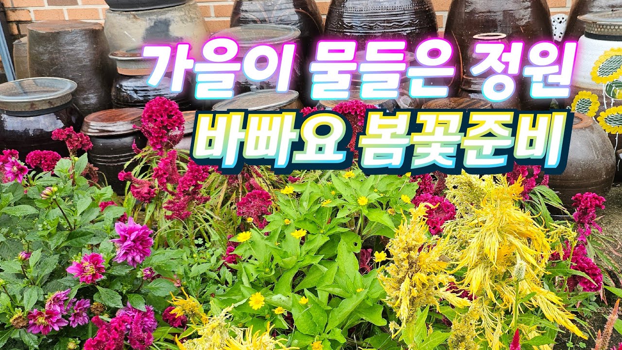 가을꽃심고 봄꽃씨 뿌려요