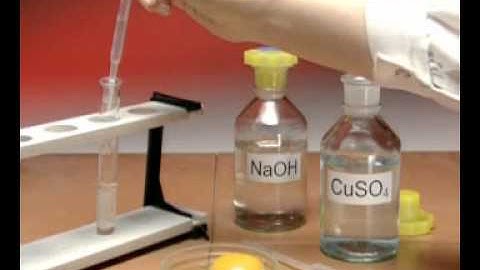 Biuret Test for Protein