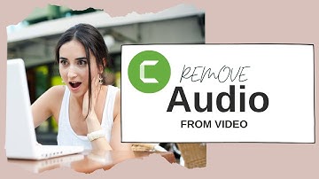 How to Remove Audio From Video in Camtasia