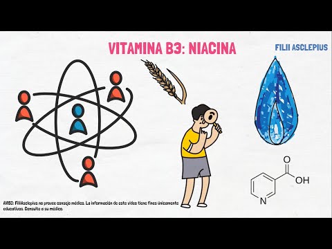 VITAMINA B3: NIACINA - QUÉ ES Y PARA QUÉ SIRVE?