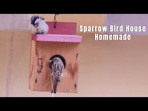 How to build a sparrow house at home | House sparrow nesting box homemade | DIY Sparrow house ideas