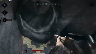 HUNT SHOWDOWN 1896 , NEW MAP BUG!