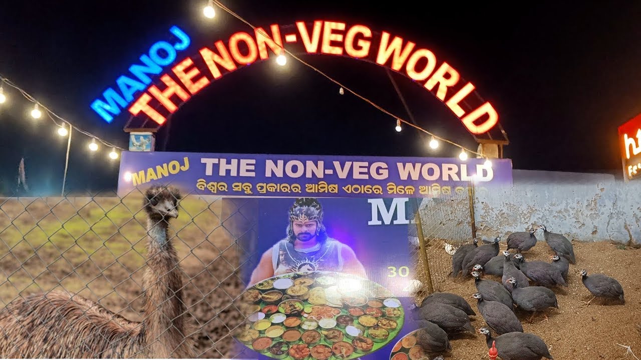 manoj the nonveg world bhubaneswar #nonveg #bhubneshwar #bestfoodinod #trending #food #vlog