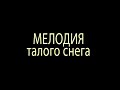 Мелодия талого снега - Ирина Самарина&Дмитрий Зинович