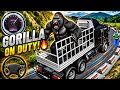 🔥 Gorilla Truck Driver Challenge 🦍🚛 | Extreme Mountain Road Adventure!