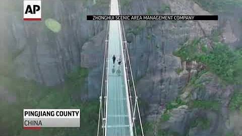 Raw tourists Brave Glass Bottom Bridge