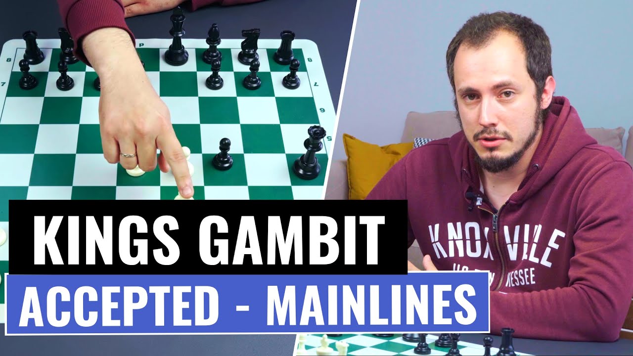 SHOW King's Gambit Declined SHOW no Gambito do Rei Recusado #chess #aj