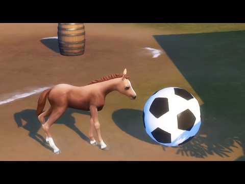 Training My New Foal at the Sims 4 Horse Ranch