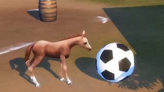 Training My New Foal at the Sims 4 Horse Ranch