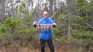 Plenty Of Newfoundland Brook Trout On A Day Hike And Cook Up  Episode #4