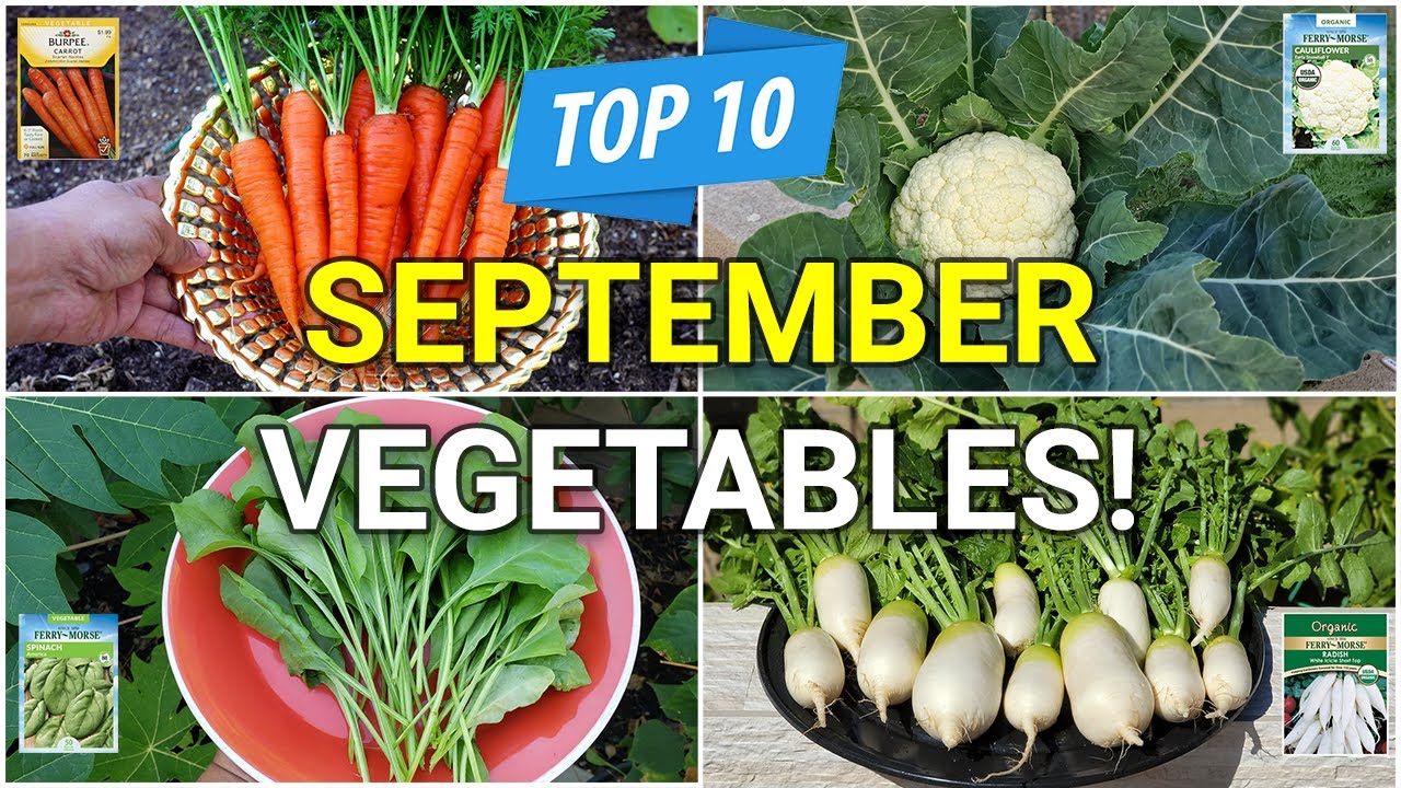 What Veggies Can Be Planted In The Fall