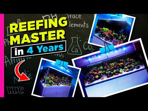 “How a Beginner Built a Reefing Career in Just 4 Years | ft. @maramotreef”