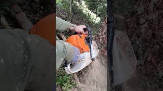 part 1 Stihl ms 441#chainsaw #stihl