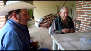 Los Llanitos Jalisco