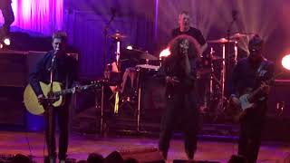 noel gallagher rattling flying birds rose