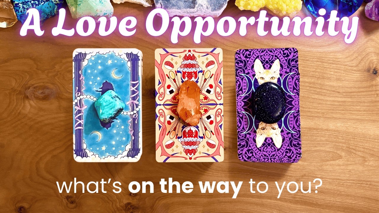 Your Next Chance at Love 💝