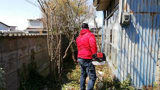 【素人空家DIY】庭の木を切って駐車場をつくる！楽天でマルチツールの多機能園芸機 エンジン式 1台5役 egbrushcutterで木を切ってみた