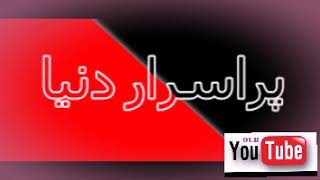 Purisrar dunia and hasi tv background music download screenshot 1