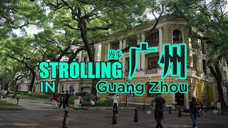 漫步 | 广州 Strolling in Guang Zhou