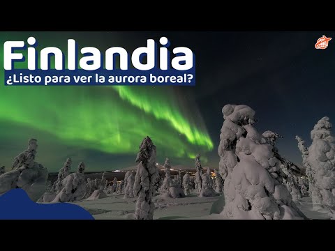 Video: Las mejores excursiones de un día desde Helsinki, Finlandia